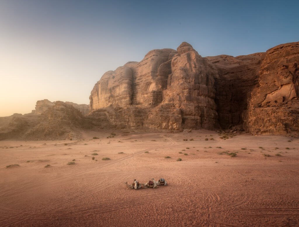 Camelos à espera do pôr-do-sol no Wadi Rum