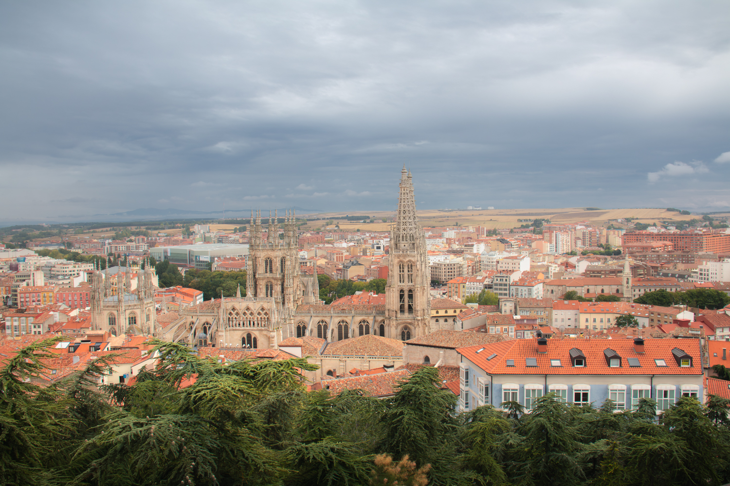 Vista de Burgos