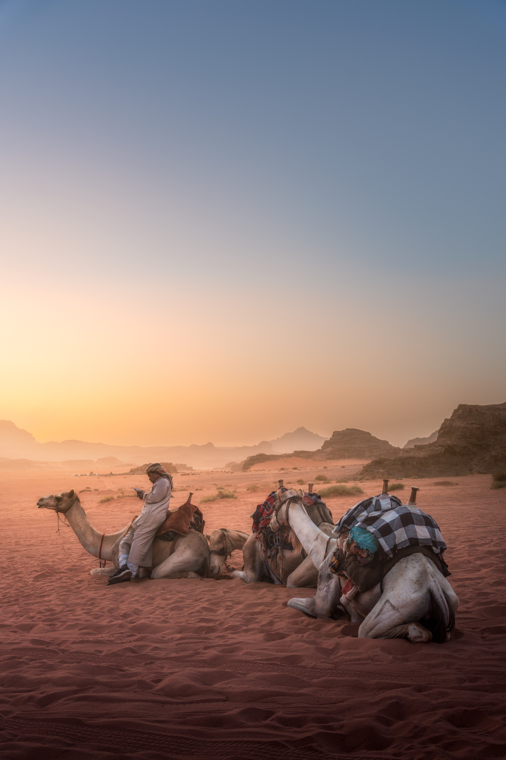 Camelos ao pôr do sol no Wadi Rum
