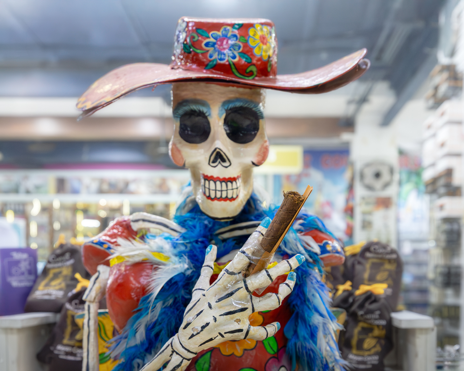Catrina Mexicana