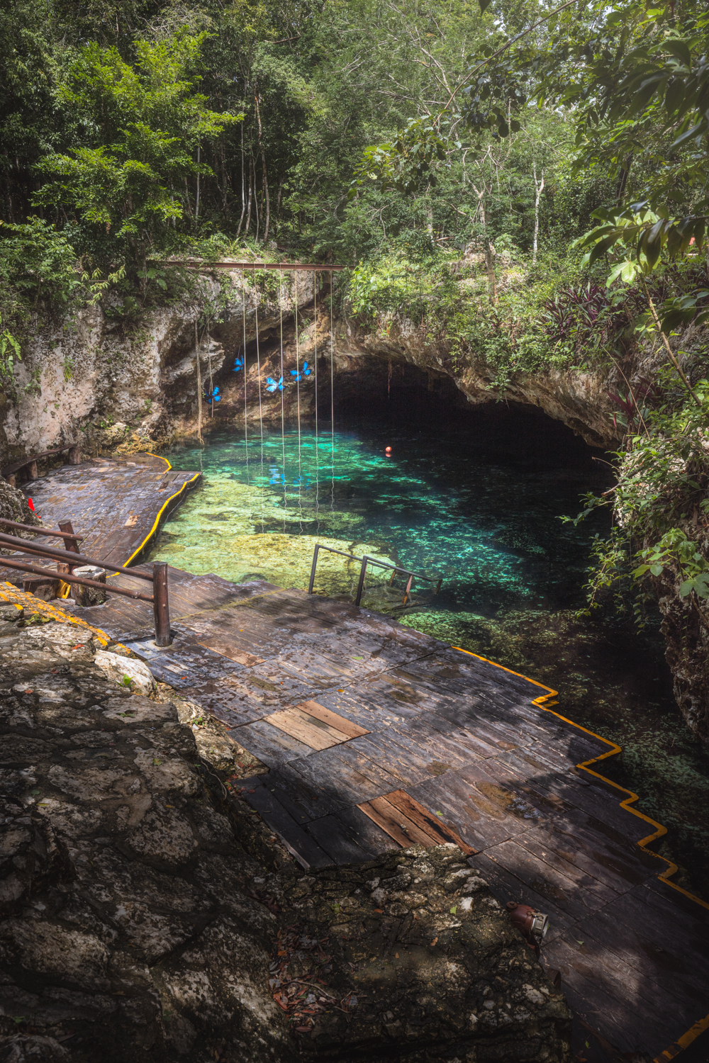 Cenote Mariposa