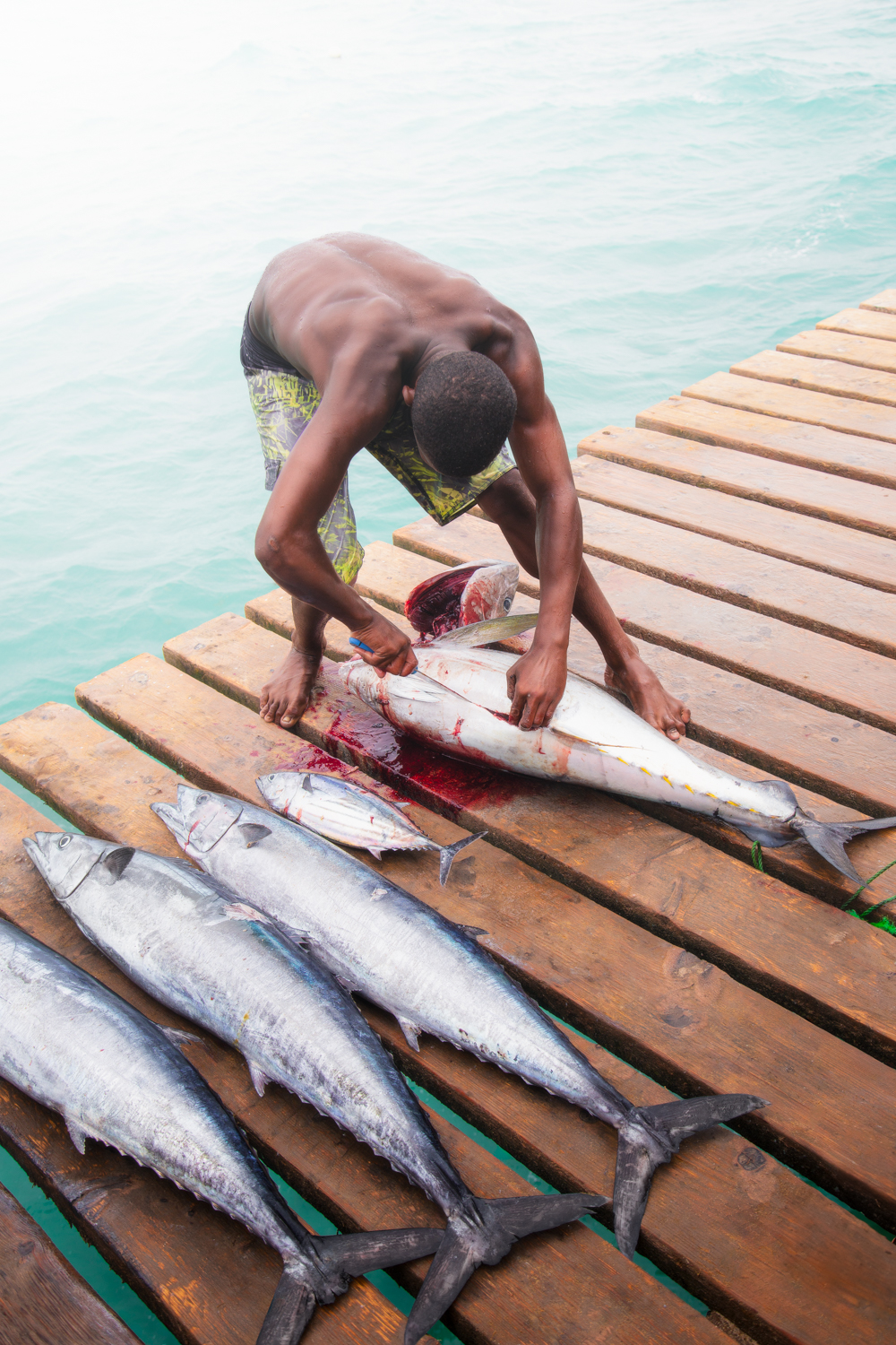 Amanhar peixe no pontão