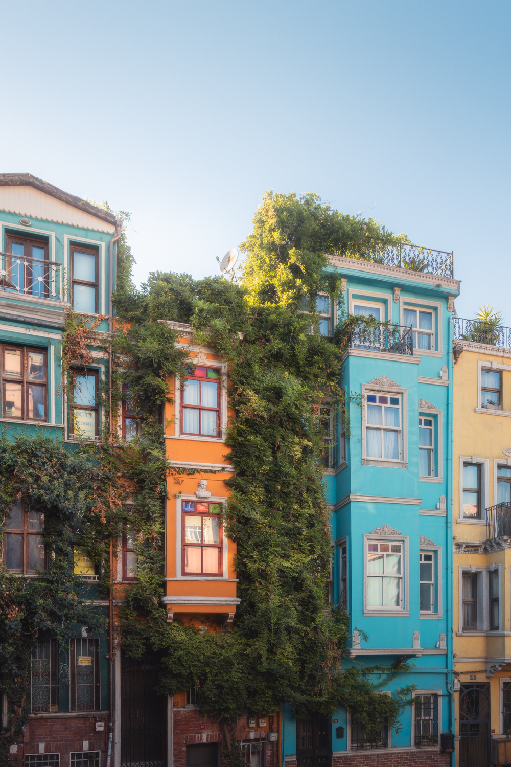Balat