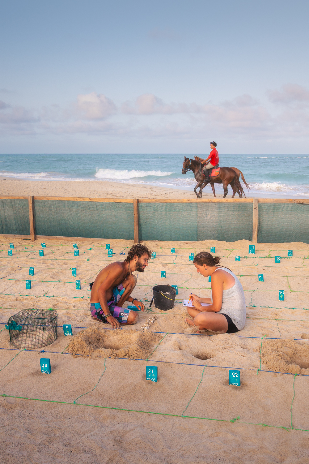 Biólogos na Kitte Beach