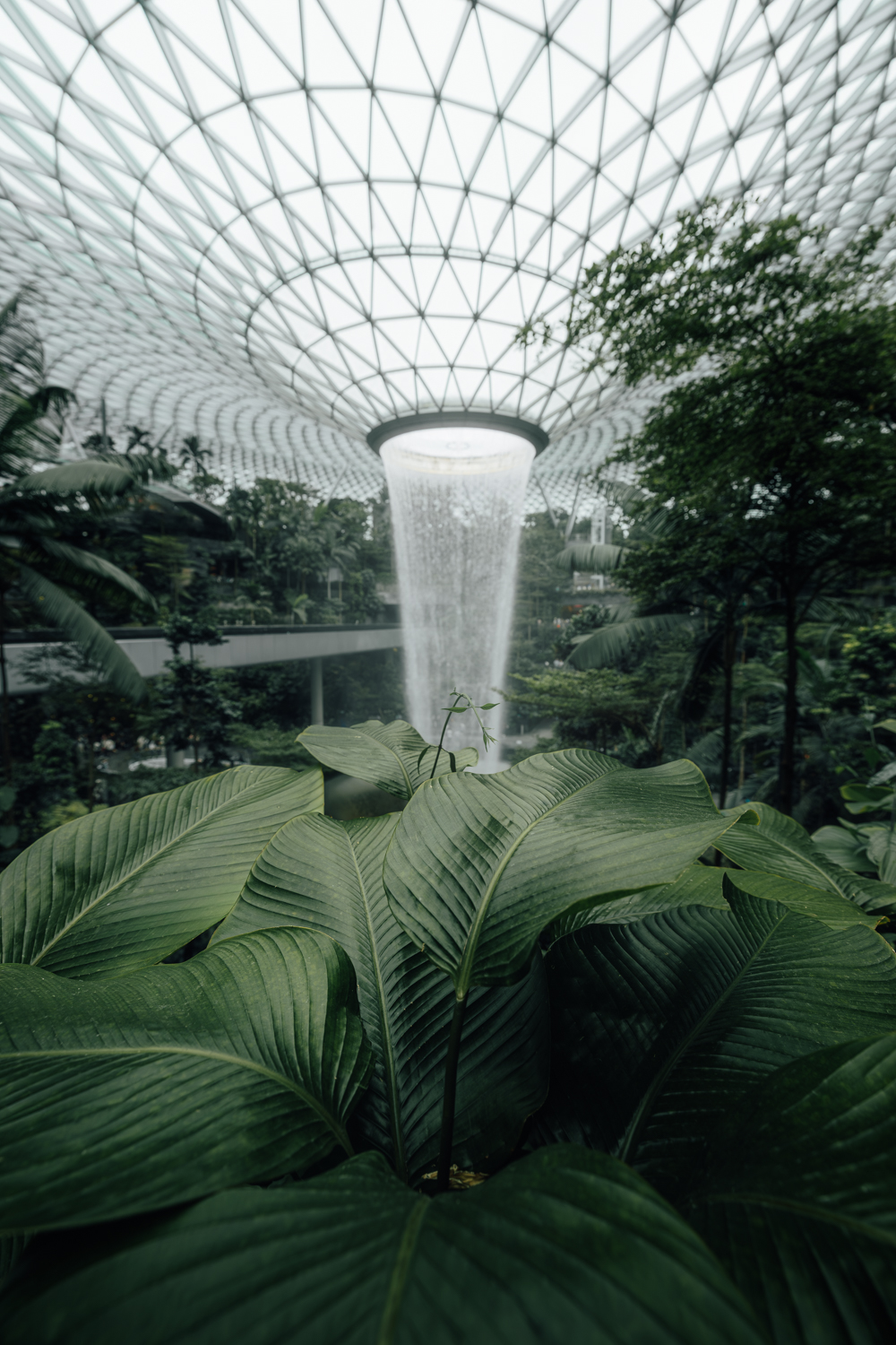 Rain Vortex