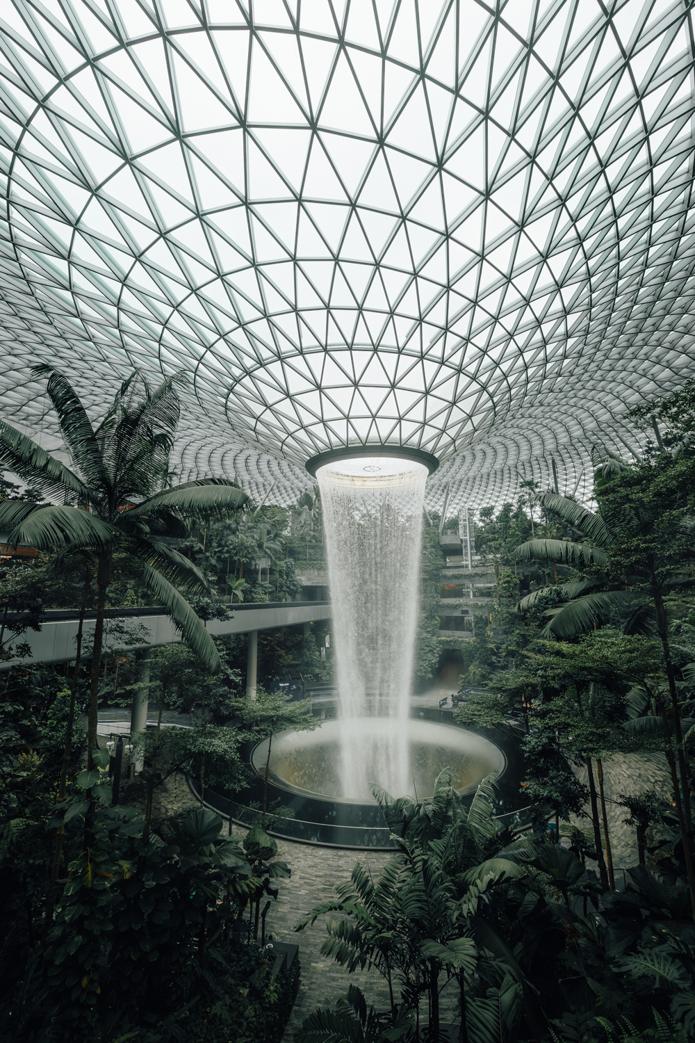 Rain Vortex
