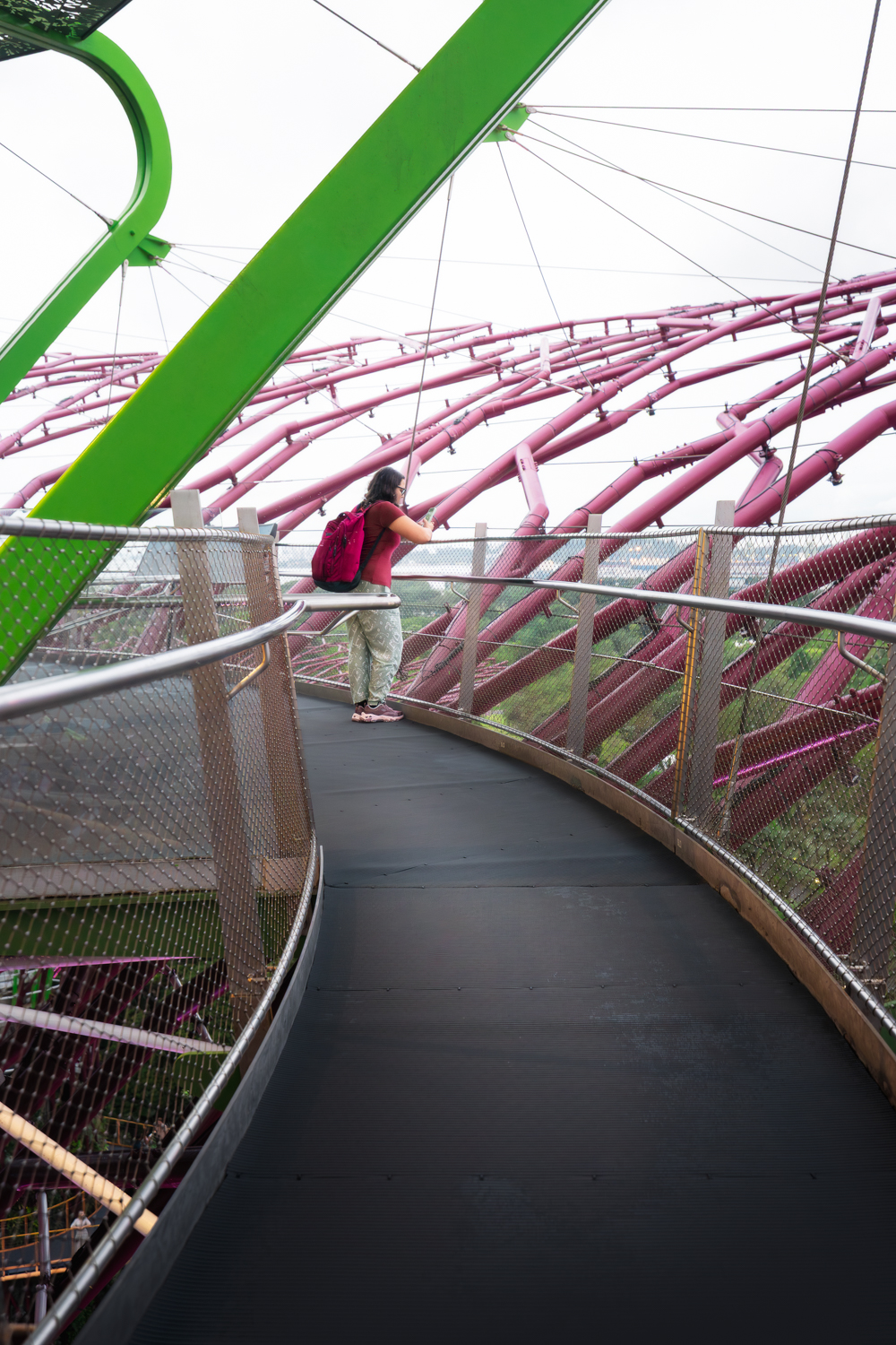 Carla no Supertree Observatory