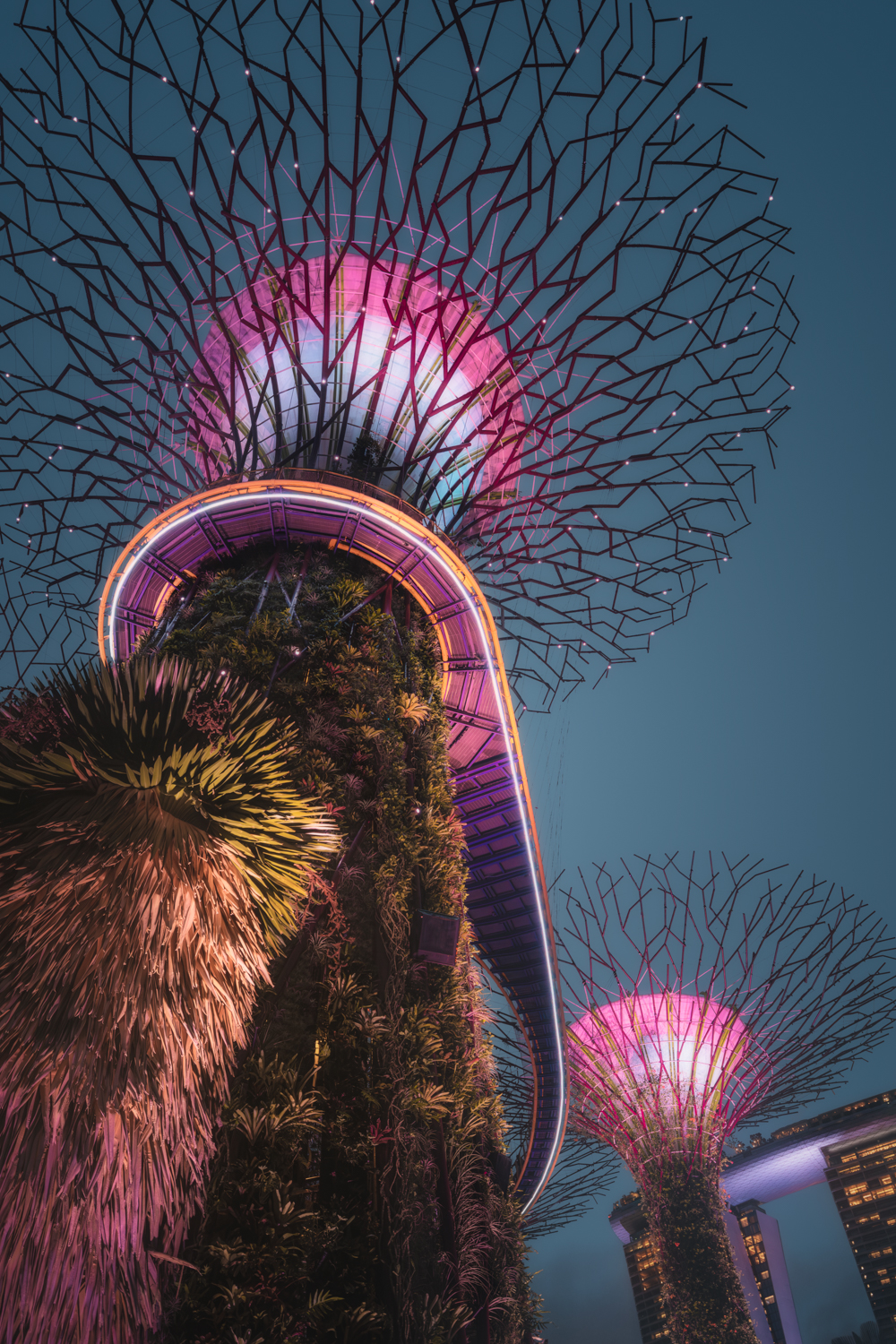 Gardens by the bay