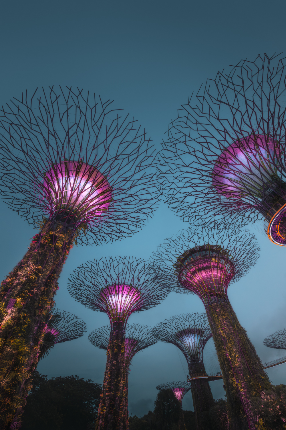 Gardens by the Bay