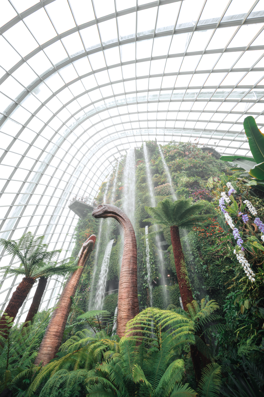 Entrada da Cloud Forest