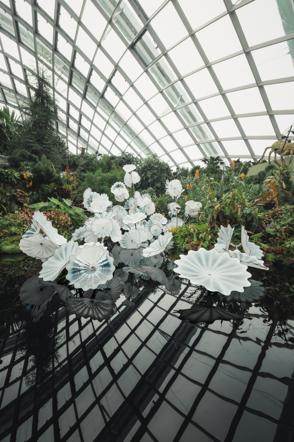 Jardim na Cloud Forest