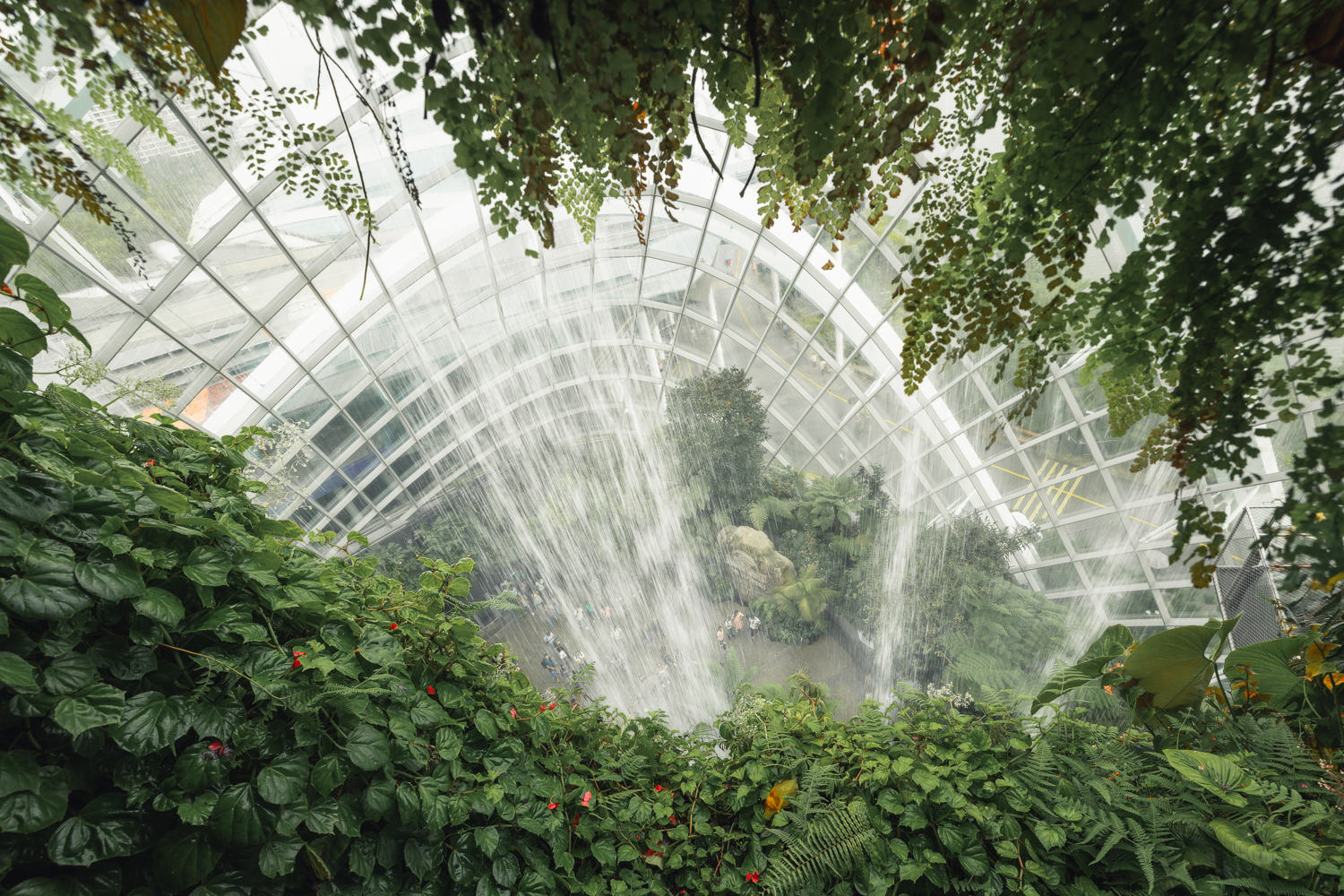 Cascata da Cloud Forest