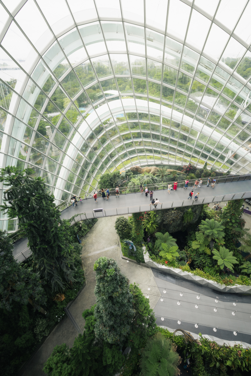 Ponte pedonal na Cloud Forest