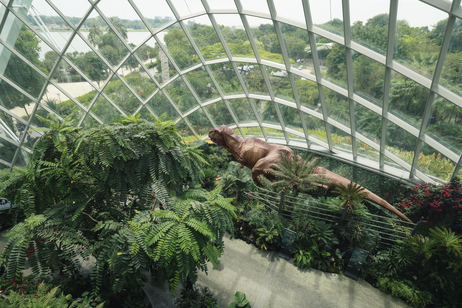 Dinossauro na Cloud Forest
