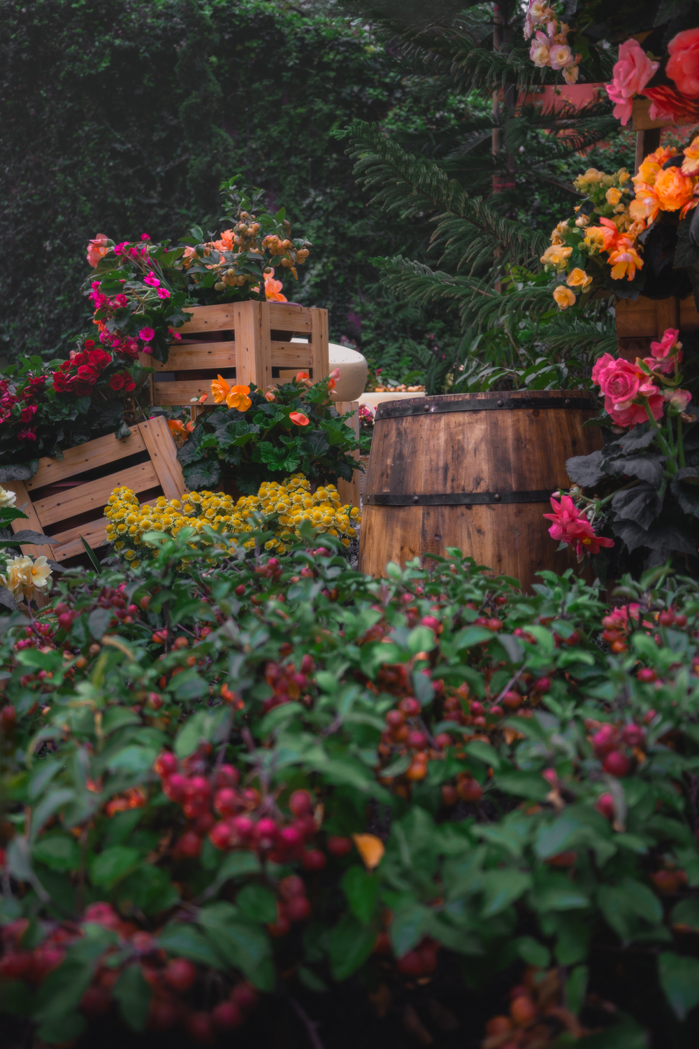 Flores da Flower Dome