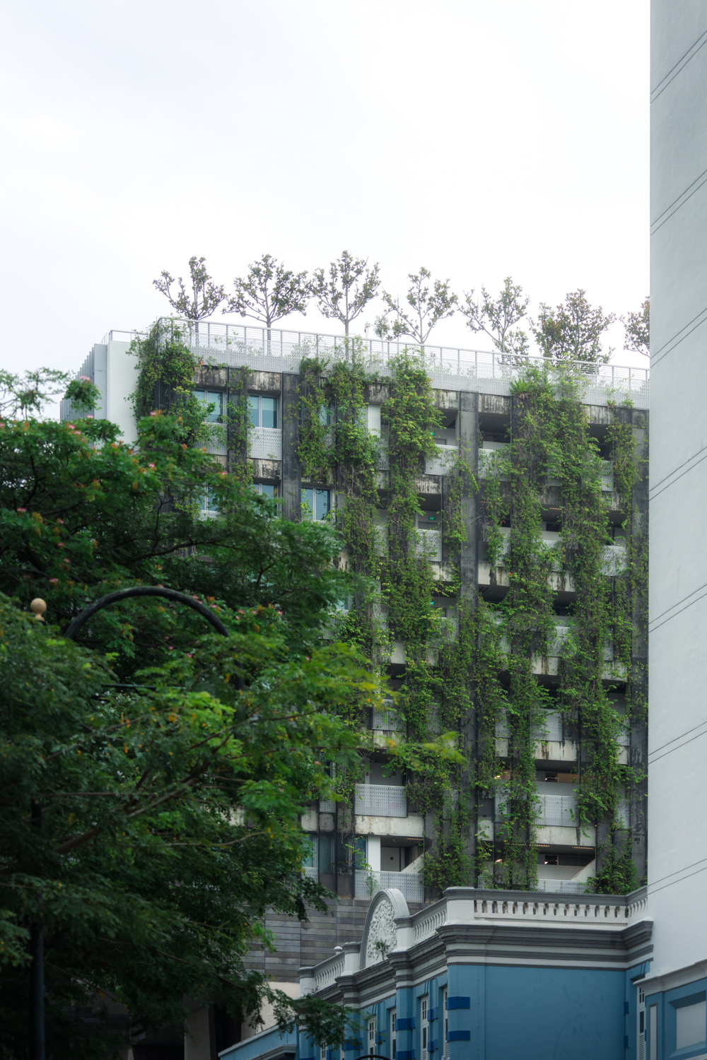 Singapura